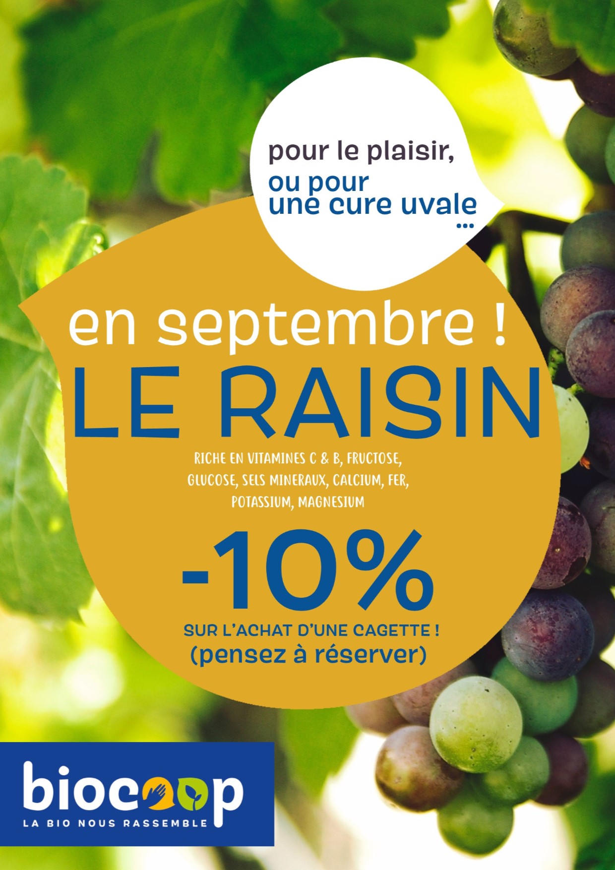 Le raisin à l'honneur en septembre ! Le raisin à l'honneur en septembre !